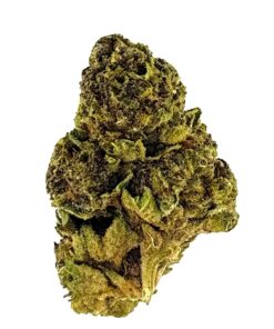 Close-up of a vibrant cannabis bud with rich green and purple hues, showcasing its texture and trichomes against a white background.