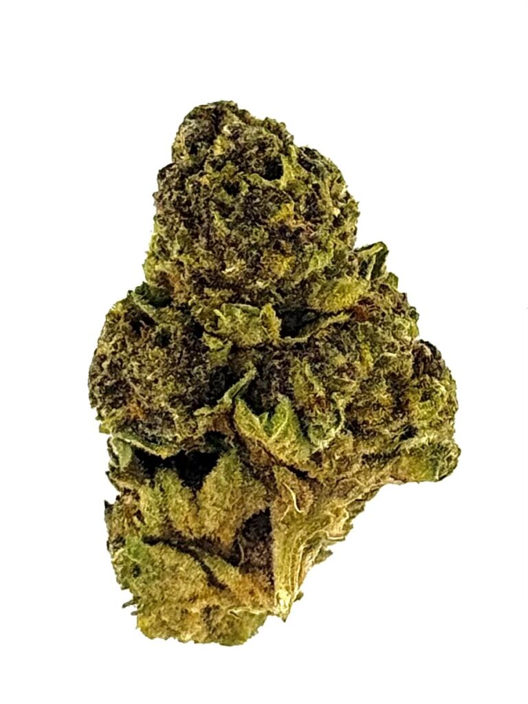 Close-up of a vibrant cannabis bud with rich green and purple hues, showcasing its texture and trichomes against a white background.
