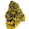 Close-up of a vibrant green cannabis bud, showcasing its rich trichomes and detailed leaf structure against a white background.