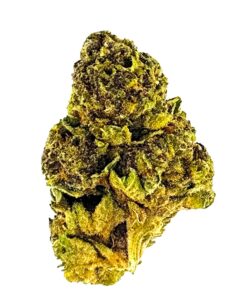 Close-up of a vibrant green cannabis bud, showcasing its rich trichomes and detailed leaf structure against a white background.