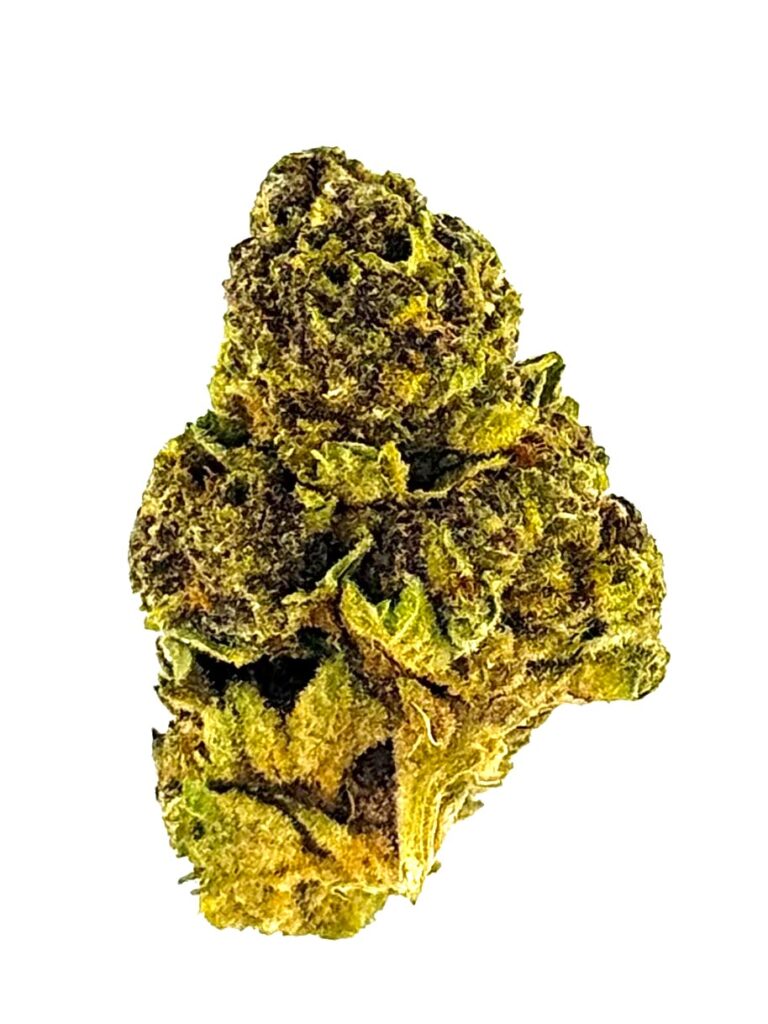 Close-up of a vibrant green cannabis bud, showcasing its rich trichomes and detailed leaf structure against a white background.