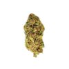 Close-up of a cannabis bud showcasing its vibrant colors and detailed trichomes on a white background.