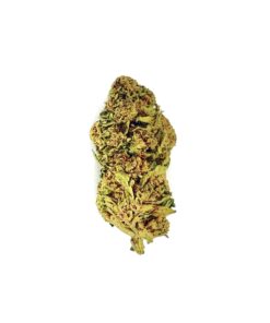 Close-up of a cannabis bud showcasing its vibrant colors and detailed trichomes on a white background.