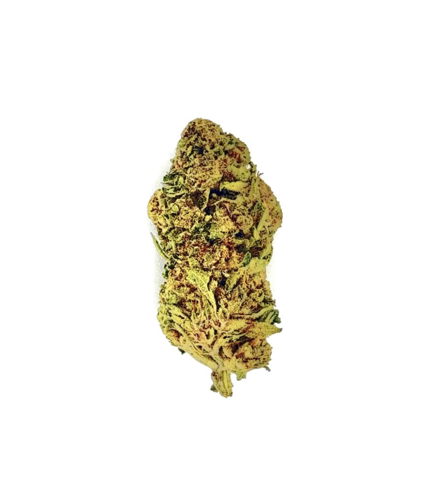 Close-up of a cannabis bud showcasing its vibrant colors and detailed trichomes on a white background.