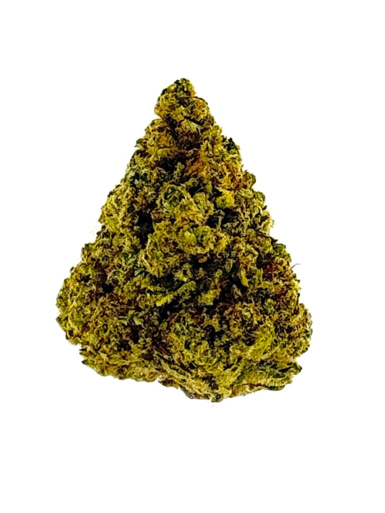 Close-up of a vibrant, green cannabis bud with a distinct, conical shape against a white background.