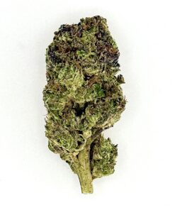 Close-up of a green cannabis bud with vibrant trichomes on a white background, showcasing its texture and color.
