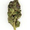 Close-up of a green cannabis bud with dense trichomes, highlighting its rich color and texture on a white background.