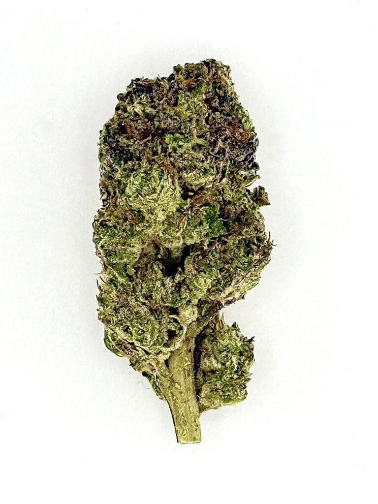 Close-up of a green cannabis bud with dense trichomes, highlighting its rich color and texture on a white background.