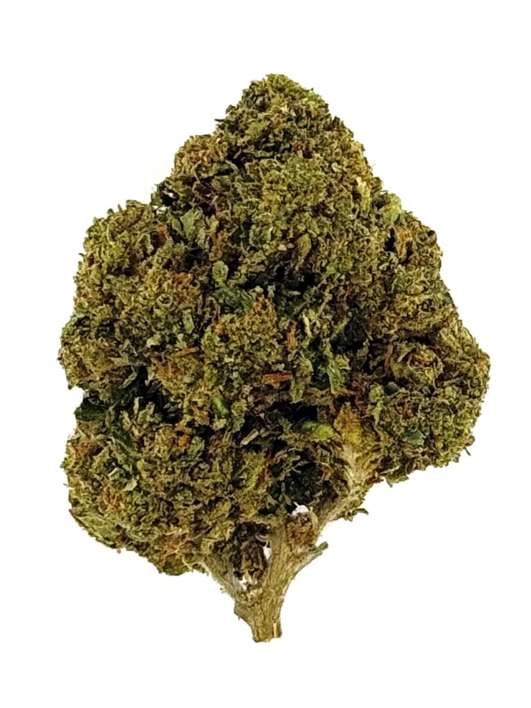 Close-up of a dense, green cannabis bud with rich trichomes and textured leaves, showcasing its vibrant color and detail.