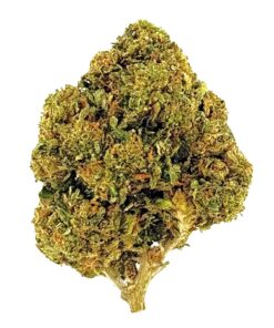 Close-up of a vibrant cannabis bud, showcasing its rich green colors and dense texture on a white background.