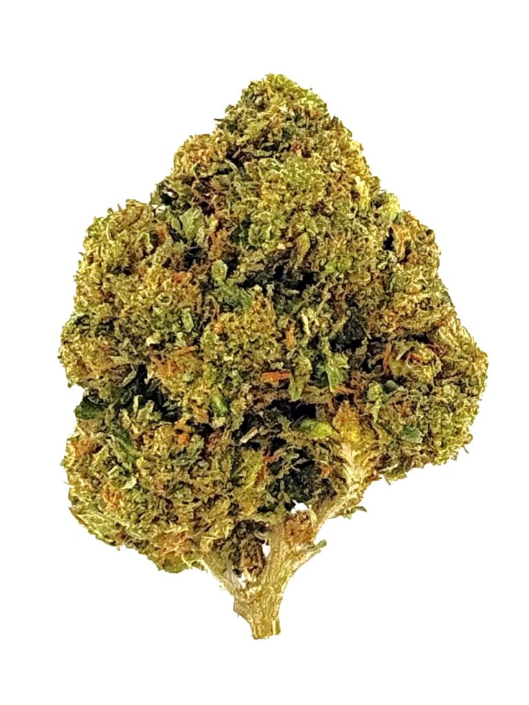 Close-up of a vibrant cannabis bud, showcasing its rich green colors and dense texture on a white background.