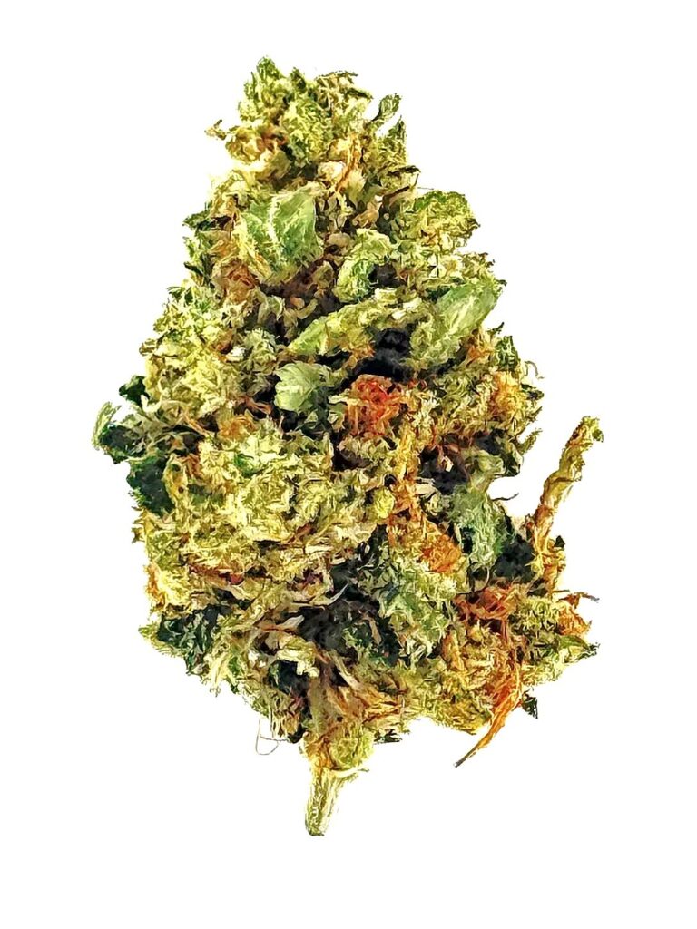 Close-up of a healthy cannabis bud showcasing vibrant green hues and orange pistils against a white background.
