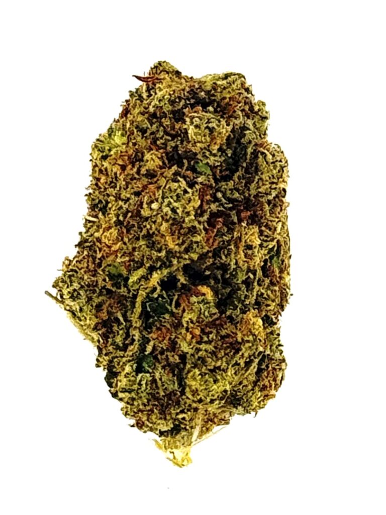 Close-up of a vibrant, green cannabis bud showcasing its intricate textures and colors against a white background.
