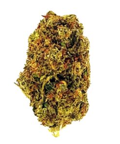Close-up of high-quality cannabis bud with vibrant green and orange hues on a white background. Ideal for educational use.