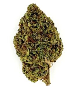 Close-up of a cannabis bud showcasing vibrant green colors and dense texture, perfect for strain identification.