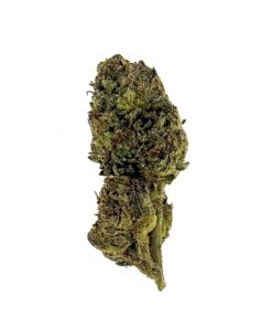 Close-up of a green cannabis bud, showcasing its unique texture and natural colors against a white background.