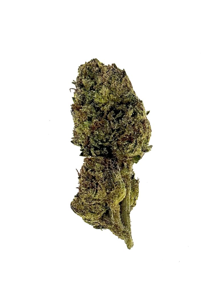 Close-up of a green cannabis bud, showcasing its unique texture and natural colors against a white background.
