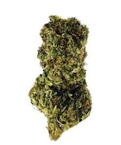 Close-up of a dense, vibrant green cannabis bud with rich textures against a white background. Perfect for medical use.
