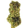 Close-up of a green cannabis bud showcasing its rich texture and vibrant color against a white background.