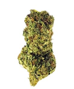Close-up of a green cannabis bud showcasing its rich texture and vibrant color against a white background.