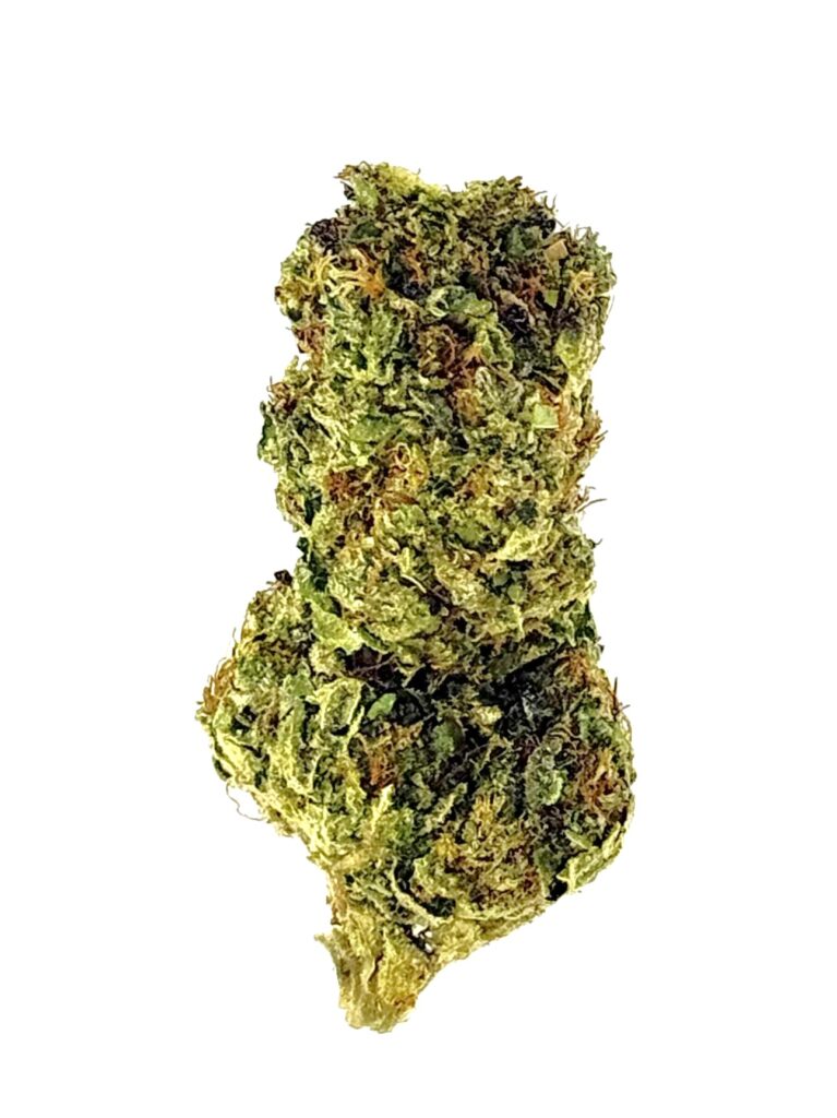 Close-up of a green cannabis bud showcasing its rich texture and vibrant color against a white background.