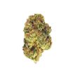 Close-up of a vibrant cannabis bud showcasing rich textures and colors, perfect for quality cannabis enthusiasts.