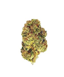 Close-up of a vibrant cannabis bud showcasing rich textures and colors, perfect for quality cannabis enthusiasts.