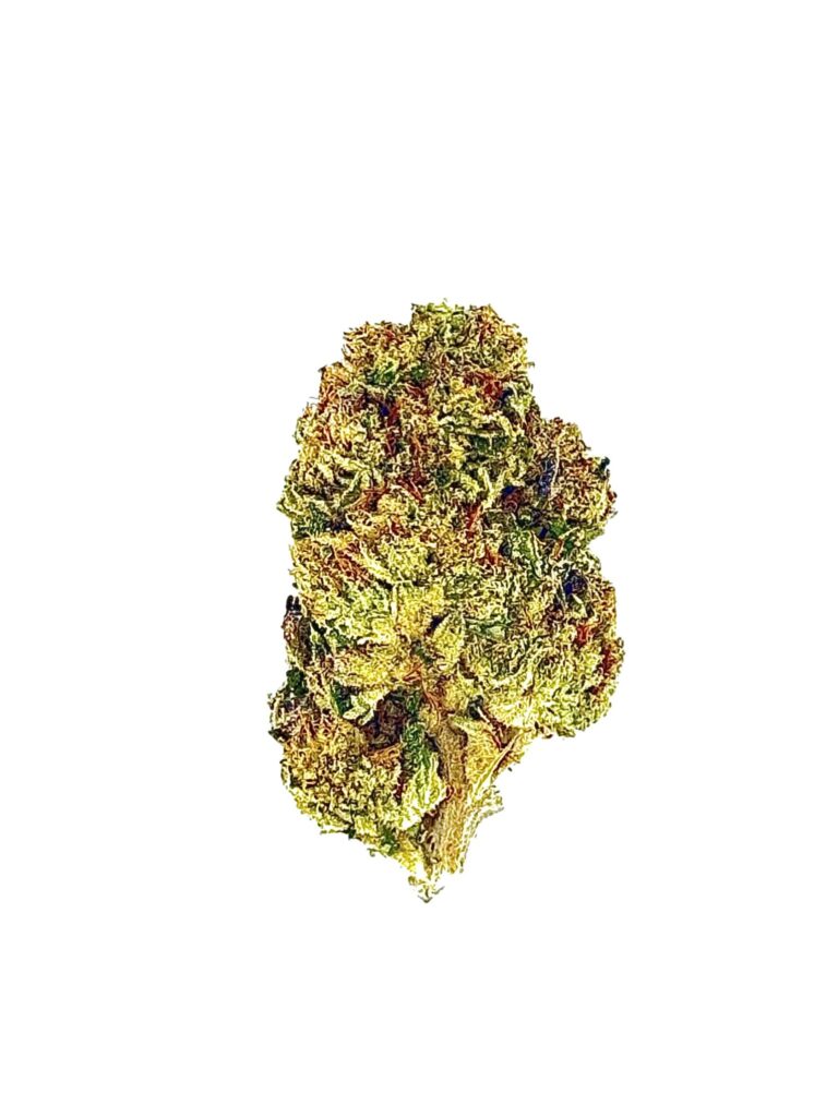 Close-up of a vibrant cannabis bud showcasing rich textures and colors, perfect for quality cannabis enthusiasts.
