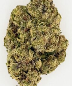 Close-up of a cannabis bud showcasing its unique texture and vibrant green colors against a white background.