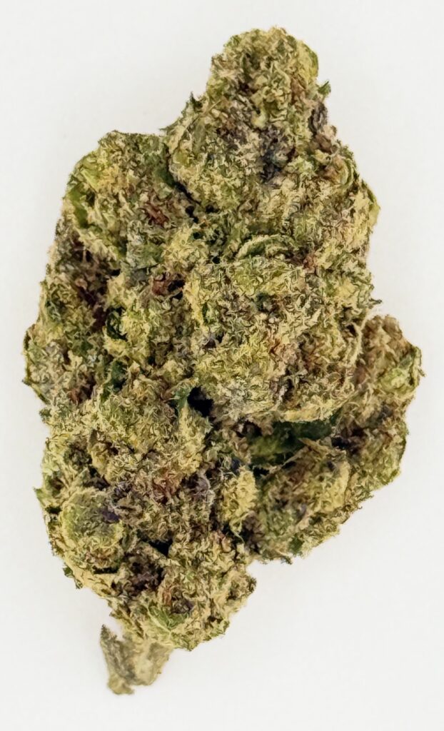 Close-up of a cannabis bud showcasing its unique texture and vibrant green colors against a white background.