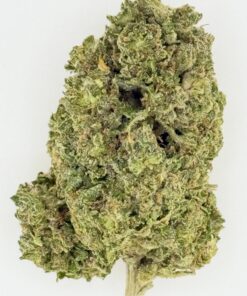 Close-up of a dense cannabis bud showcasing vibrant green hues and frosty trichomes on a white background.