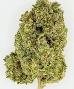 Close-up of a dense cannabis bud showcasing vibrant green hues and frosty trichomes on a white background.