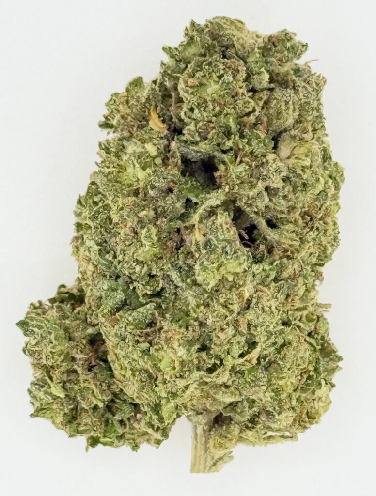 Close-up of a dense cannabis bud showcasing vibrant green hues and frosty trichomes on a white background.