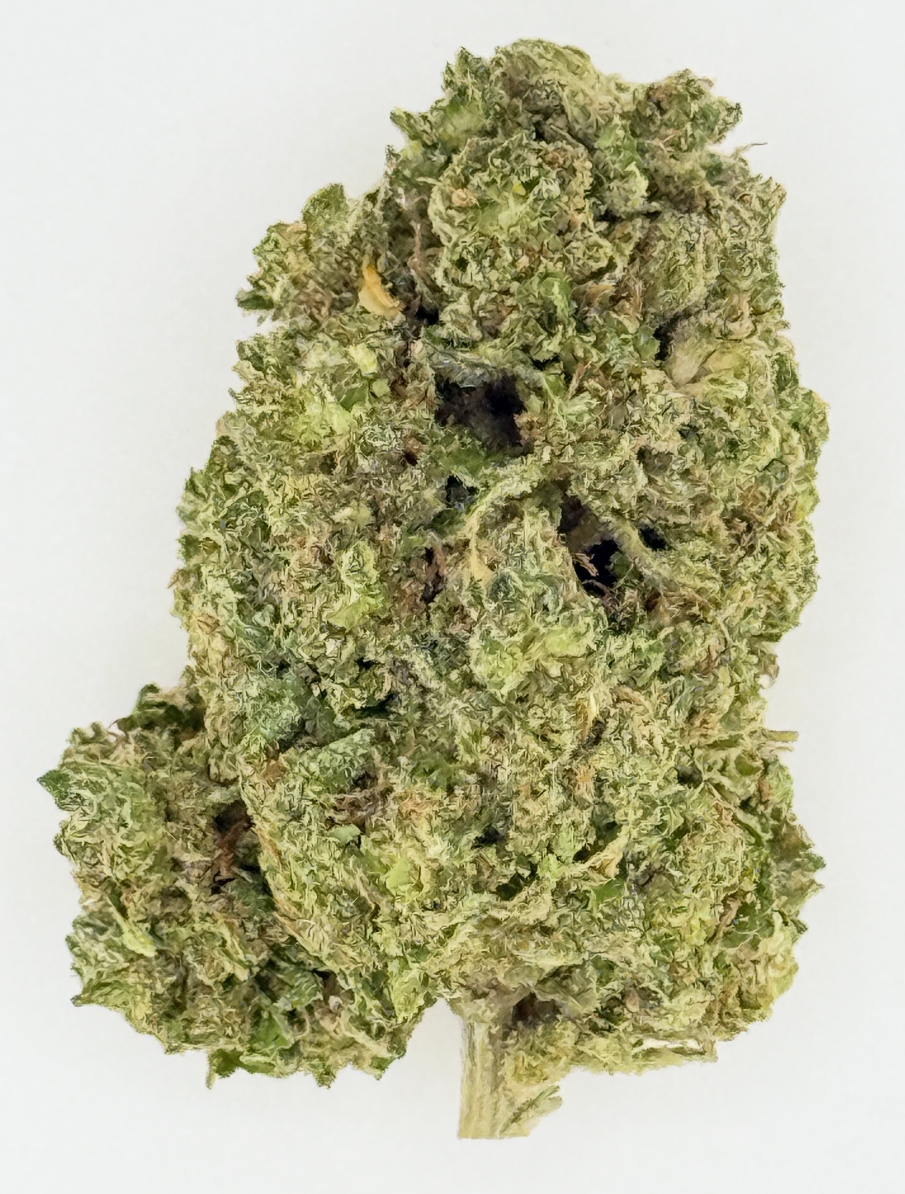 Blue Lobster (Ounce) 1 Close-up of a dense cannabis bud showcasing vibrant green hues and frosty trichomes on a white background.