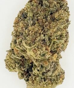 Close-up of a dried cannabis bud, showcasing its dense structure and rich green and brown hues, ideal for herbal use.