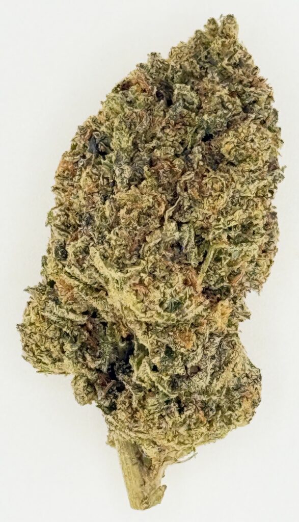 Close-up of a dried cannabis bud, showcasing its dense structure and rich green and brown hues, ideal for herbal use.