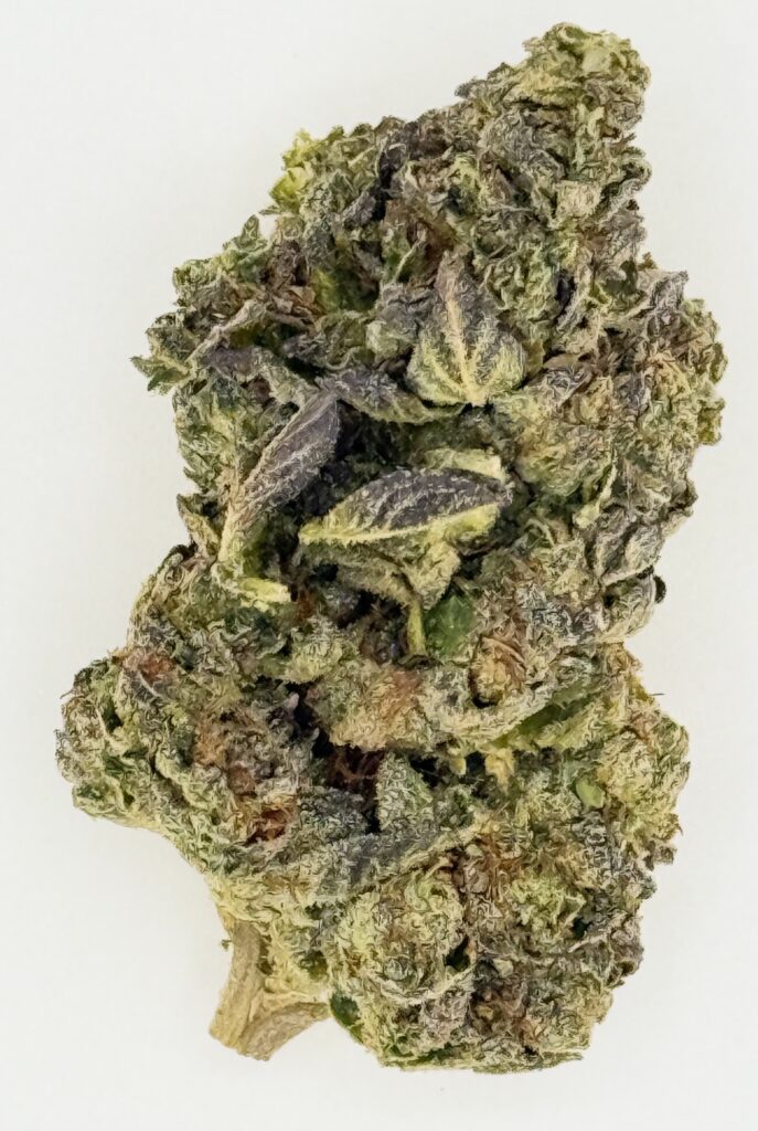 Close-up of a cannabis bud showcasing rich greens and purples, highlighting its texture and trichomes.