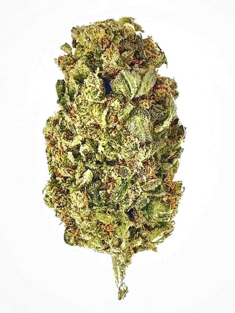 Close-up of premium cannabis bud showcasing vibrant green hues and rich trichomes, ideal for enthusiasts and connoisseurs.