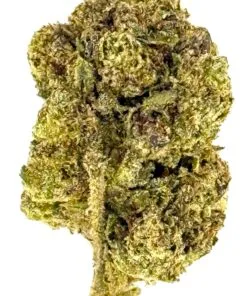 Close-up of cannabis buds displaying rich green hues and trichome crystals, showcasing quality marijuana for enthusiasts.