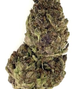 Close-up of a dense cannabis bud showcasing rich colors and textures, ideal for use in herbal remedies or relaxation.