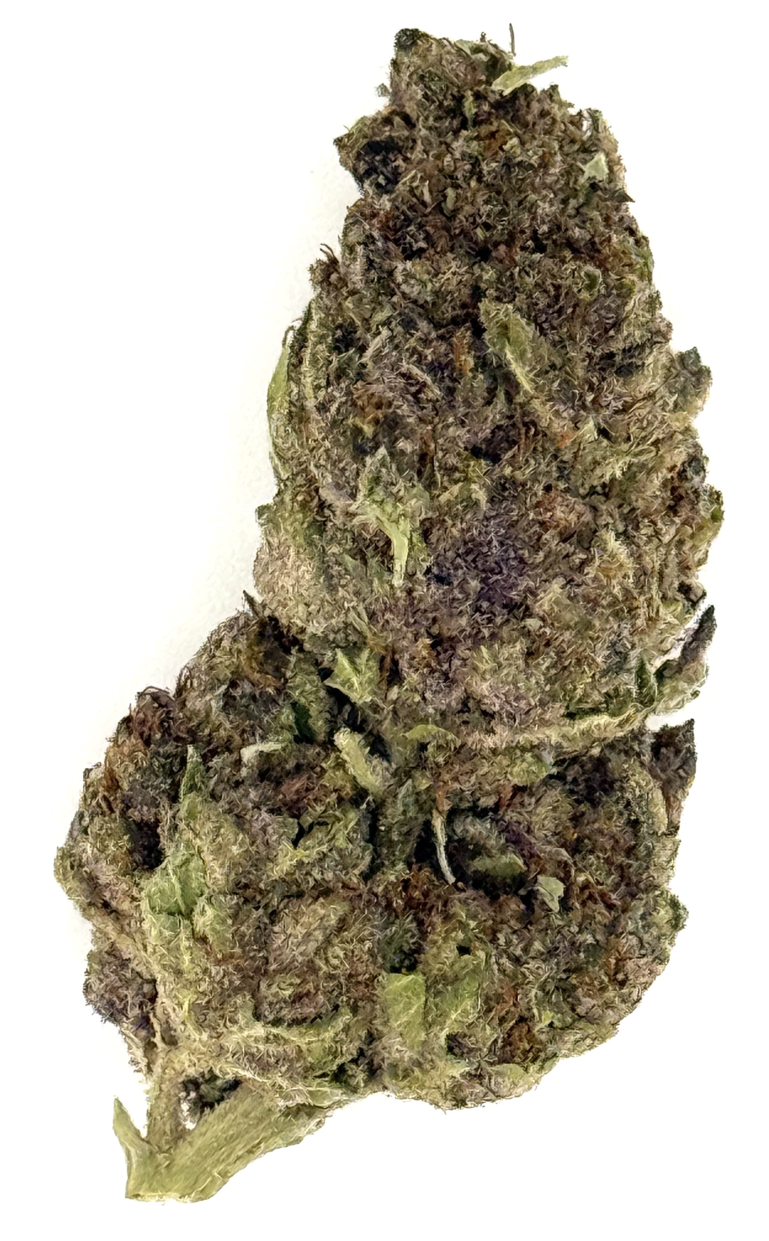 Tropicana Cherry (Ounce) 1 Close-up of a dense cannabis bud showcasing rich colors and textures, ideal for use in herbal remedies or relaxation.
