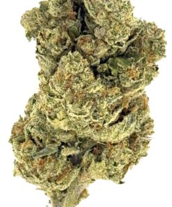 Close-up of a dense cannabis bud showcasing its vibrant green color and trichome crystals, ideal for medicinal and recreational use.