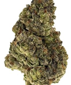 Close-up of a dense cannabis bud showcasing its vibrant green hues and rich trichomes, ideal for cannabis enthusiasts.