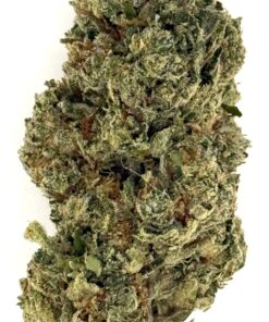 Close-up of a green cannabis bud with dense trichomes, showcasing its texture and rich colors against a white background.