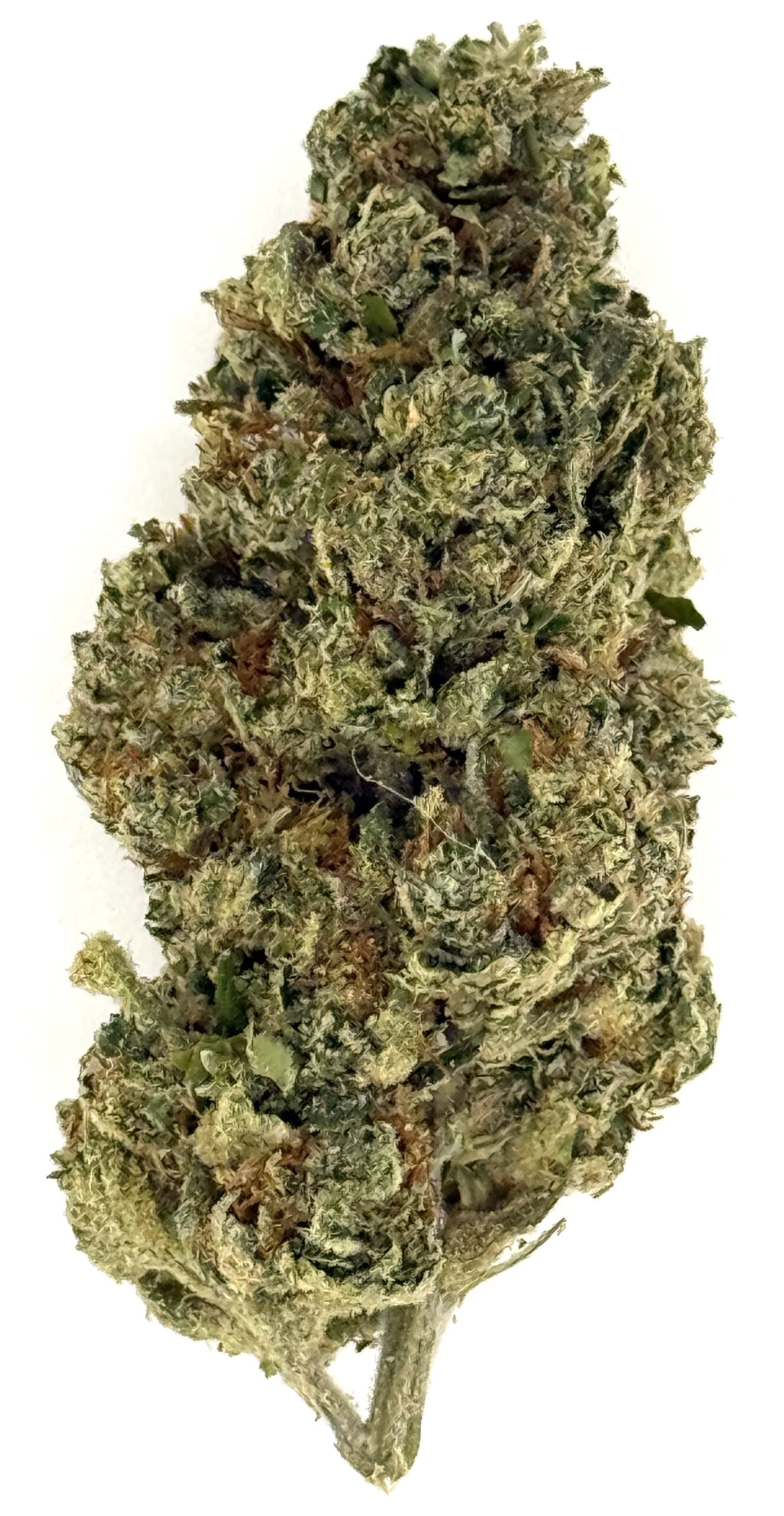 Watermelon Zkittles 1 Close-up of a green cannabis bud with dense trichomes, showcasing its texture and rich colors against a white background.