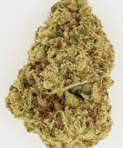 Close-up of a cannabis bud showcasing its dense, green texture and trichomes, ideal for cannabis enthusiasts.