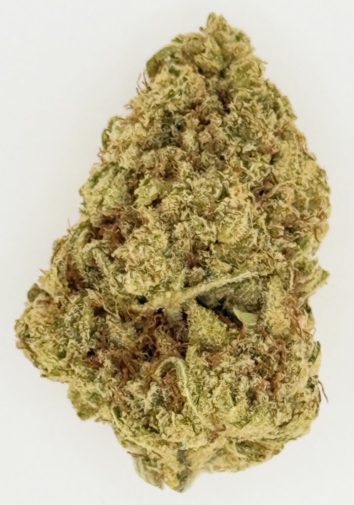 Close-up of a cannabis bud showcasing its dense, green texture and trichomes, ideal for cannabis enthusiasts.