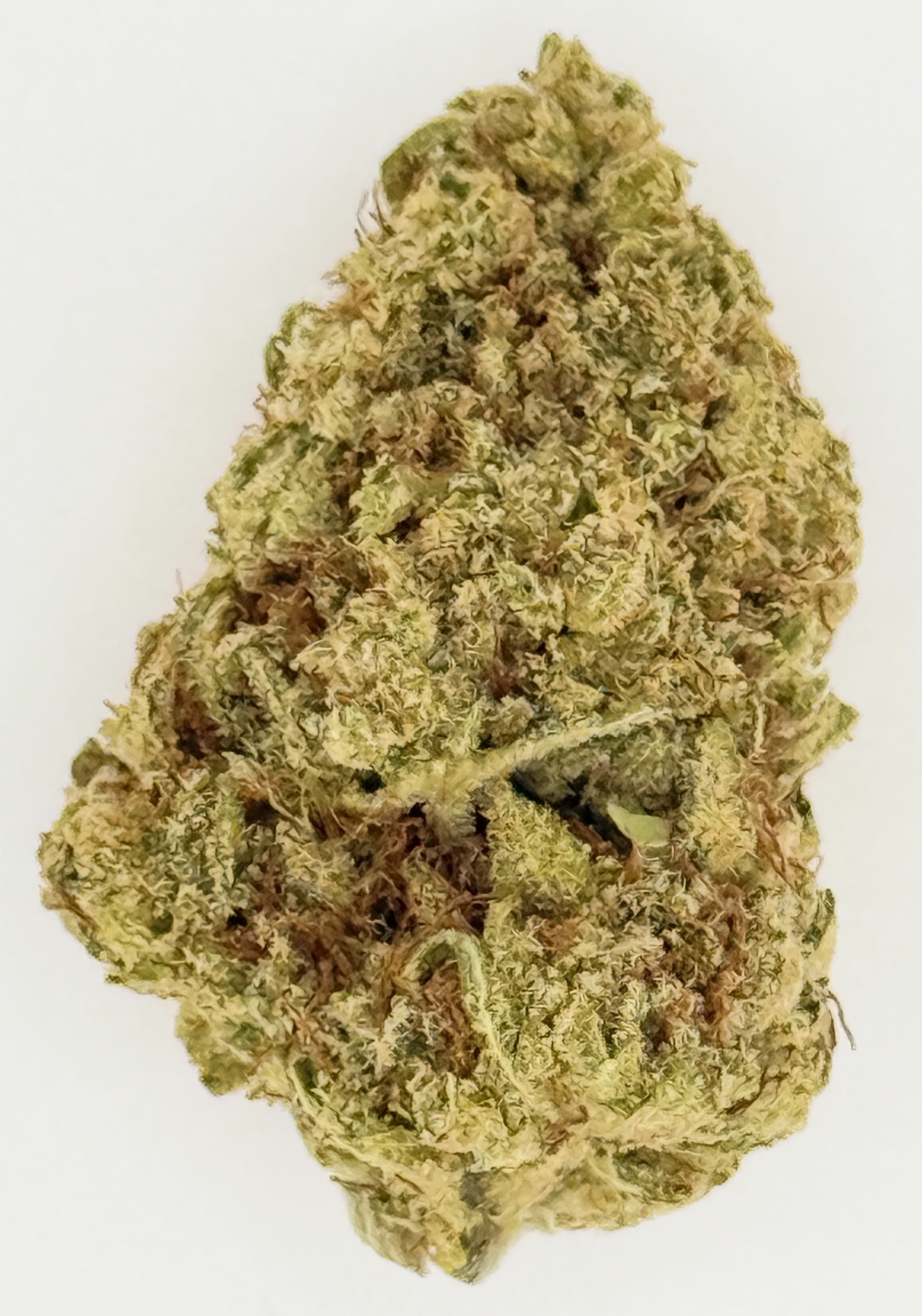 Do-Si-Dos 1 Close-up of a cannabis bud showcasing its dense, green texture and trichomes, ideal for cannabis enthusiasts.