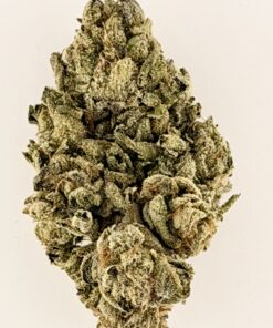 Close-up of a frosty cannabis bud, showcasing its dense texture and vibrant green color against a white background.