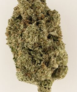 Close-up of a cannabis bud showcasing rich green hues and fine trichomes, highlighting its quality and texture.